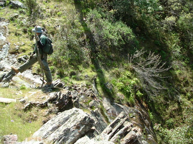 clarksgulch2011001.jpg