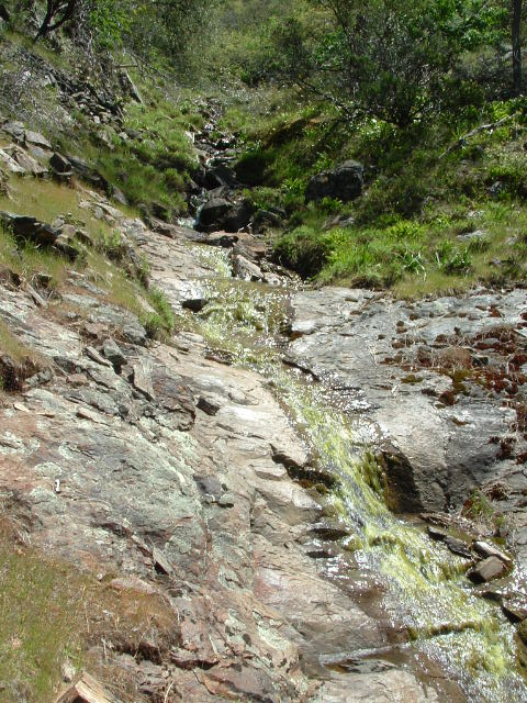 clarksgulch2011003.jpg