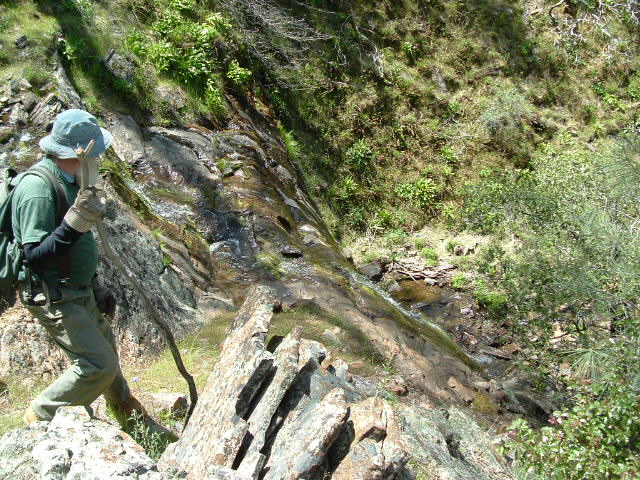 clarksgulch2011004.jpg