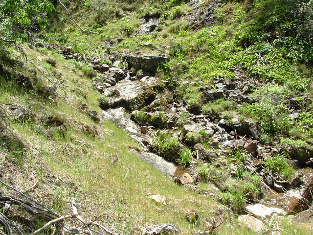 clarksgulch2011005.jpg