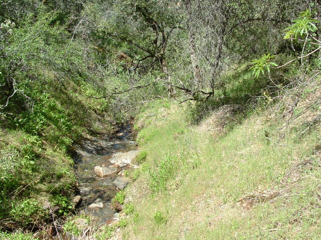 clarksgulch2011006.jpg