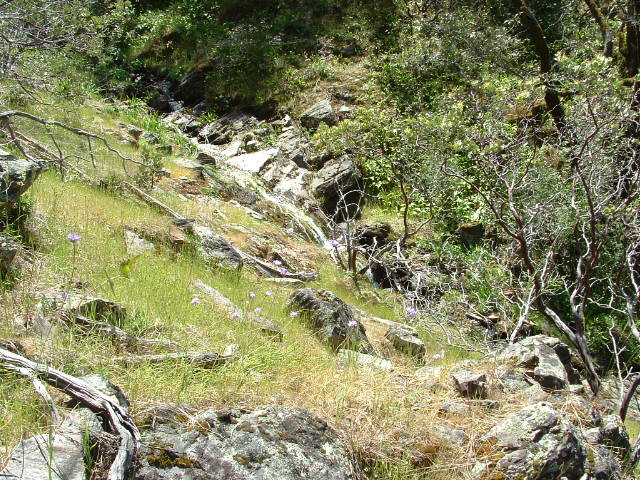 clarksgulch2011007.jpg