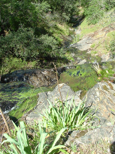 clarksgulch2011011.jpg