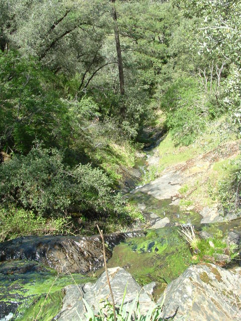 clarksgulch2011013.jpg
