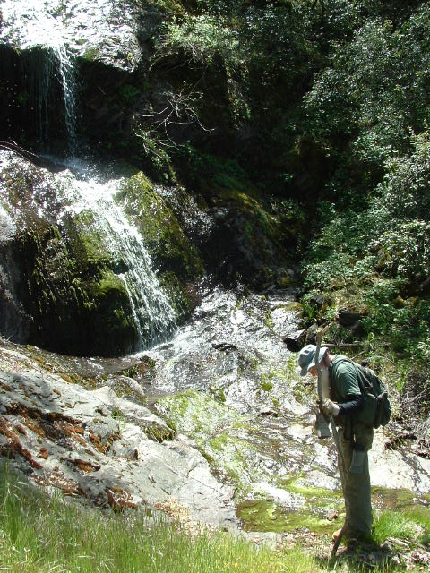 clarksgulch2011018.jpg