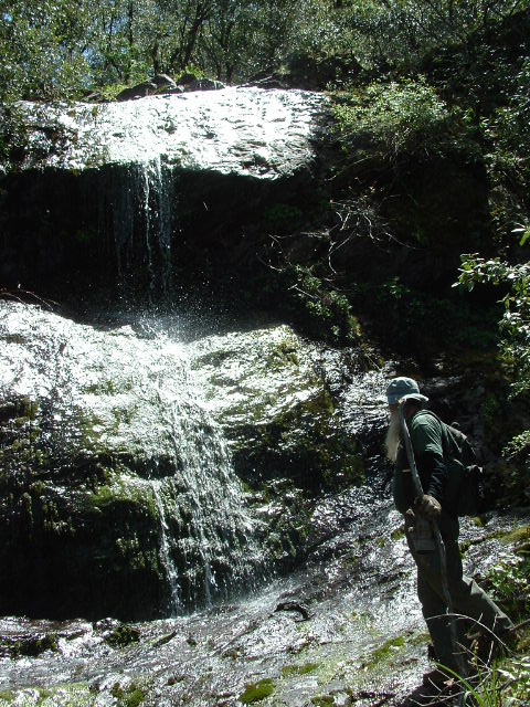 clarksgulch2011020.jpg