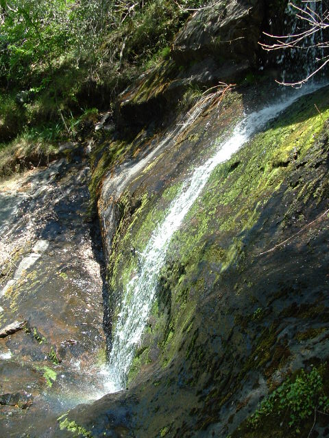 clarksgulch2011024.jpg