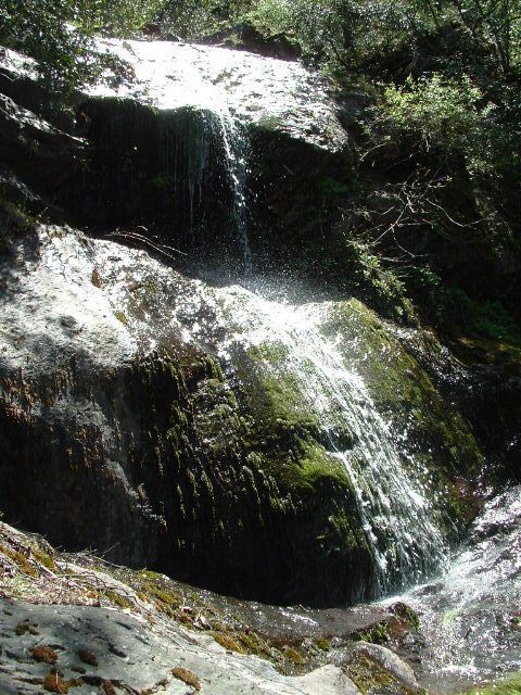 clarksgulch2011026.jpg