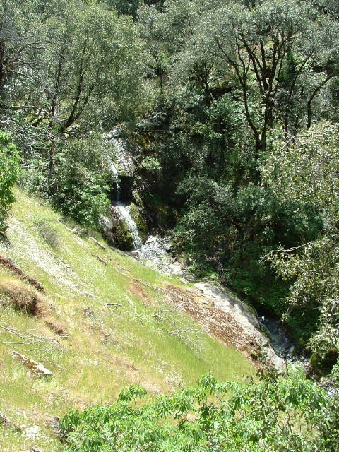clarksgulch2011027.jpg