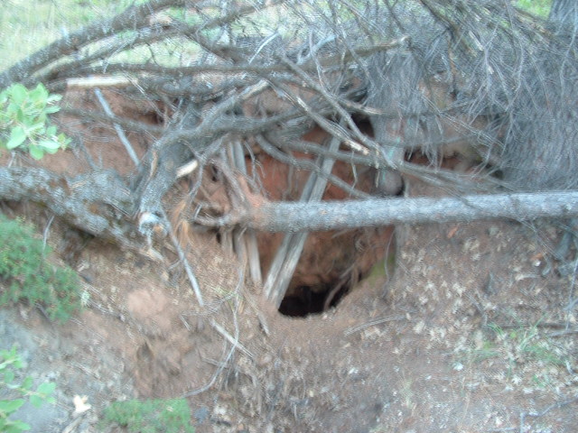 iceboxmine2013045.jpg