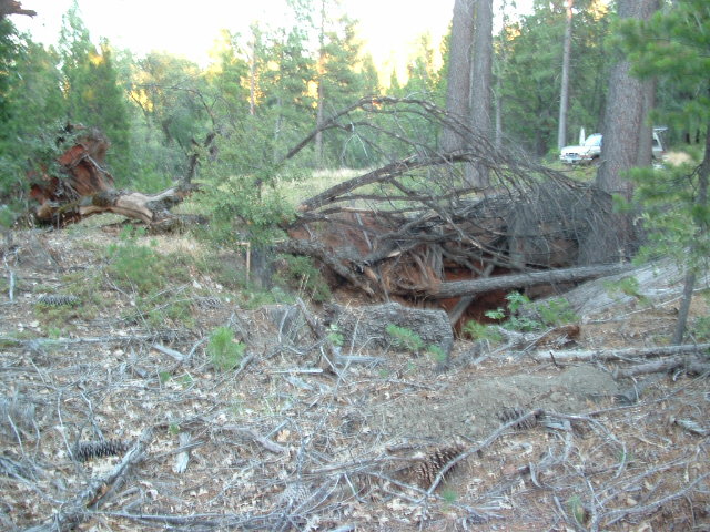 iceboxmine2013049.jpg