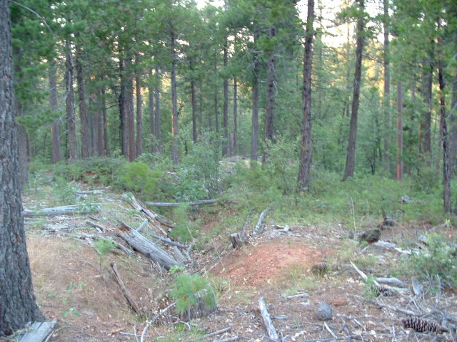 iceboxmine2013052.jpg