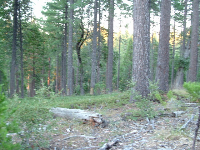 iceboxmine2013053.jpg