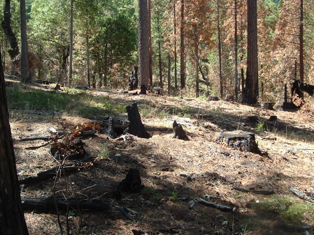 iceboxmine2014fire013.jpg
