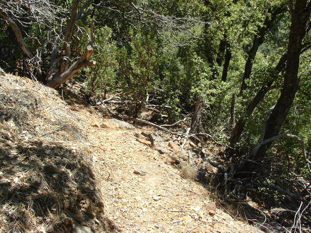 july282012mine031.jpg