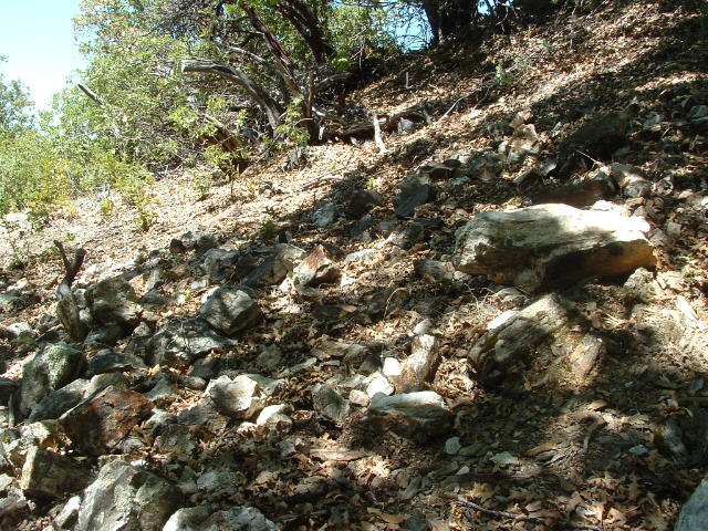 july282012mine044.jpg