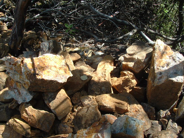 july282012mine046.jpg
