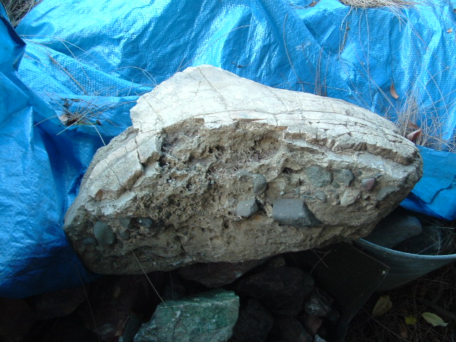 mastadon014.jpg