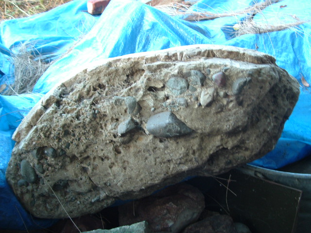 mastadon016.jpg