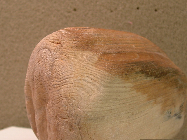 oatcreekcamel016.jpg Petrified Wood