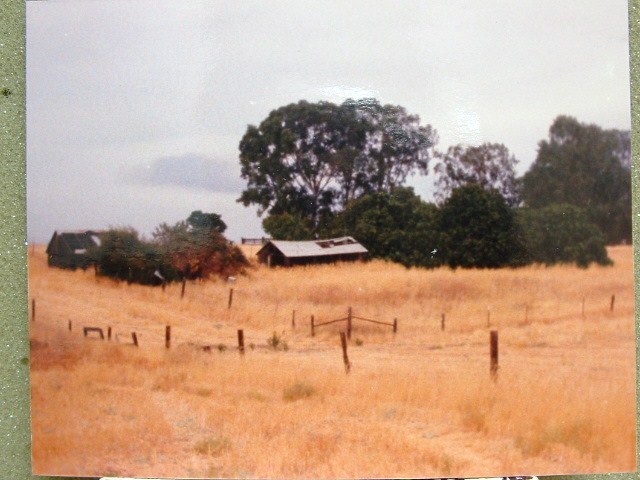 schoelerwine001.jpg  Schoeler Vinyard