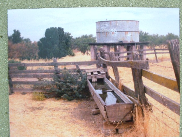 schoelerwine002.jpg   Schoeler Vinyard