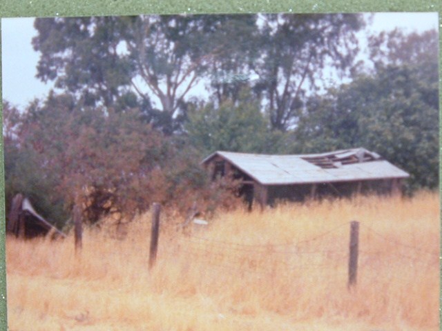 schoelerwine003.jpg   Schoeler Vinyard