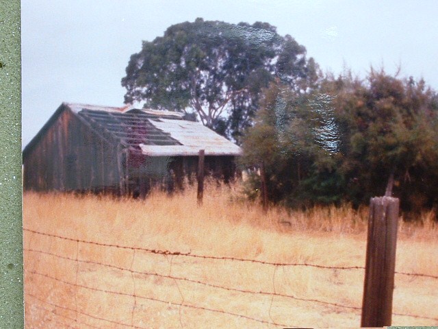schoelerwine004.jpg
